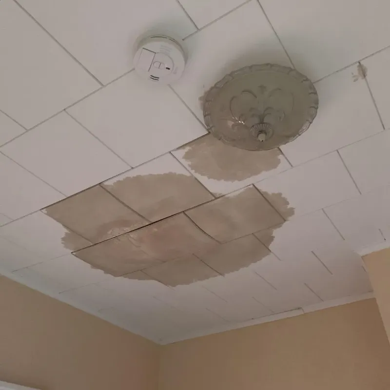 Ceiling Water Damage Repair in Washington, NC
