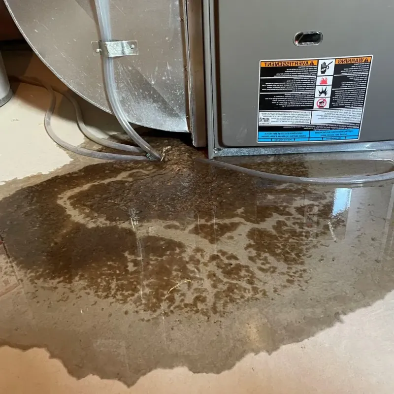 Pipe Burst and Leak Restoration in Washington, NC