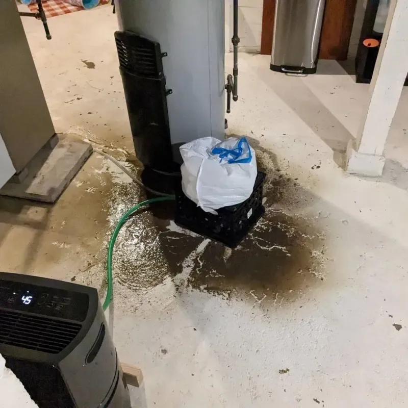 Sewage Backup Cleanup Service in Washington, NC